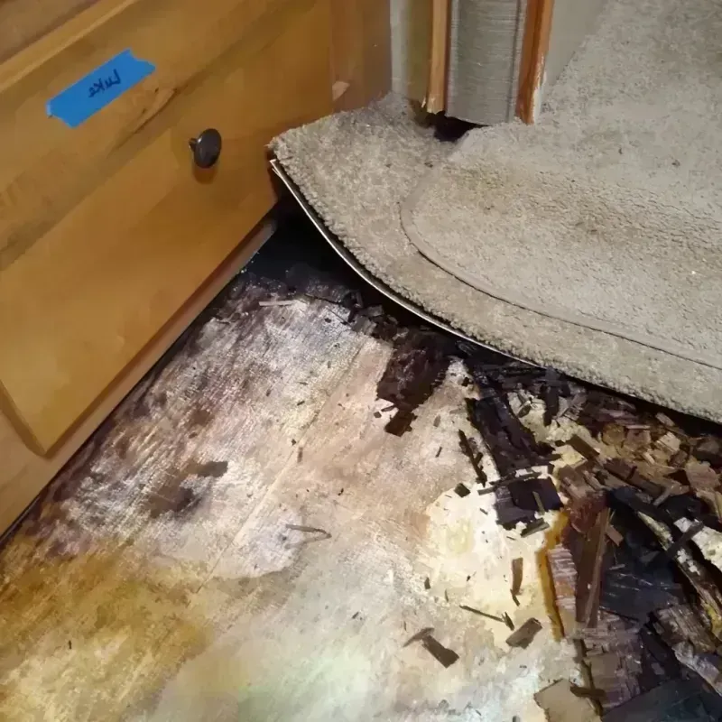 Wood Floor Water Damage in Lake Mohawk, OH